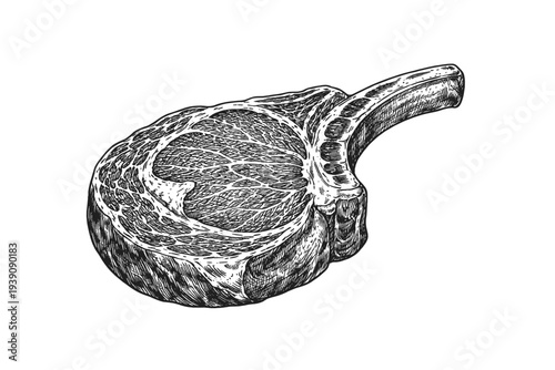 Raw Meat Steak Illustration in Vintage Woodcut Engraving Style