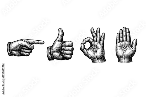 Hand Gestures and Signals Vector Illustration in Engraving Style