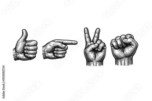 Hand Gestures and Signals Vector Illustration in Engraving Style