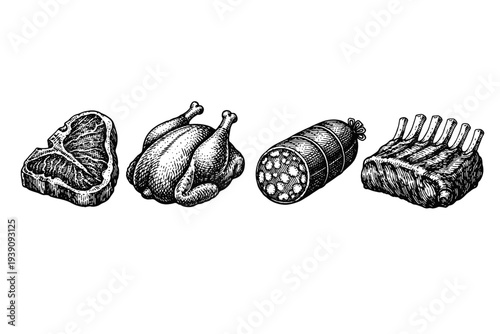 Butcher Meat Cuts and Poultry Vector Set in Hand Drawn Style