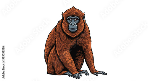 Realistic and detailed hand drawn illustration of a reddish brown monkey sitting calmly and looking forward against a clean white background.