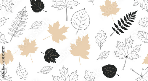 Elegant seamless pattern of diverse autumn leaves in black and beige colors including maple oak and fern on a white background for textile.