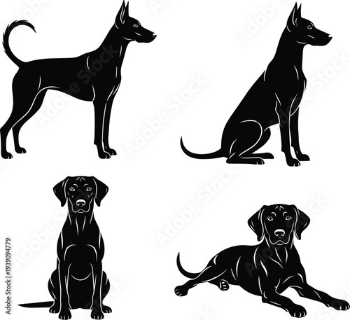 Set of black and white cow icons featuring various cattle poses and head illustrations for farm livestock dairy production agricultural business and animal husbandry branding