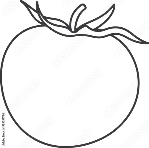 Tomato line icon fresh vegetable outline food ingredient symbol