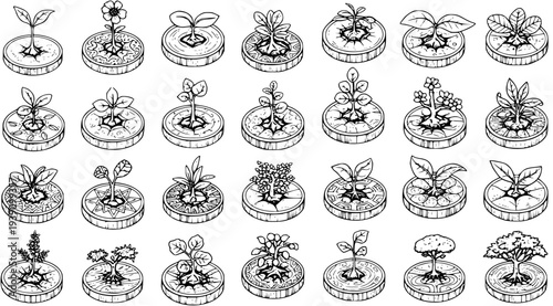 Isometric Black and White Hand-Drawn Plant Growth Stages Collection: From Seedlings to Flowering Plants and Mature Trees, Nature Lifecycle Icons Set
