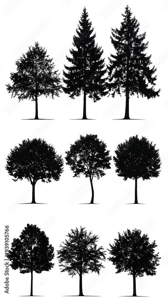 Fototapeta premium A set of nine black tree silhouettes on a white background