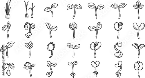 Collection of hand-drawn plant sprouts and germinating seedlings icons, showing different stages of growth in black and white line art, for nature, gardening, or educational themes.