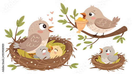 Adorable baby birds in cozy nests with mother bird feeding vector illustration set