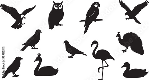 Isolated Black Vector Bird Silhouettes Set. Collection of Various Species Icons. isolated PNG with Transparent Background