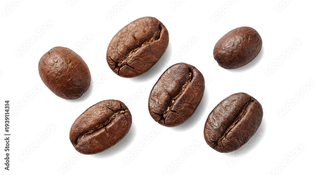 Fototapeta premium Photograph of six rich, dark roasted coffee beans, scattered with soft shadows, isolated on a transparent background.