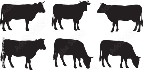 Set of 6 cow silhouettes vector