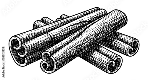 Vintage engraving cinnamon sticks aromatic spice ingredient hand drawn woodcut style culinary illustration