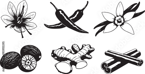 Set of 6 spice and herb icons vector