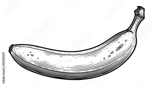 Vintage banana fruit engraving, retro tropical food and healthy snack sketch in woodcut style isolated