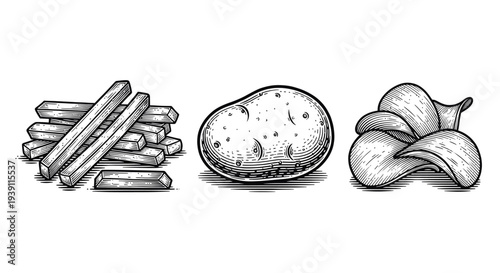 vintage engraving potato products set with french fries whole potato and potato chips detailed hand drawn food illustration in classic woodcut style