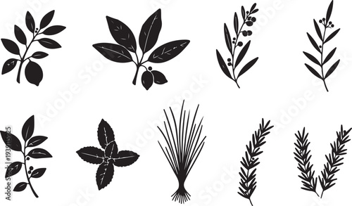Set of 8 black leaf icons vector
