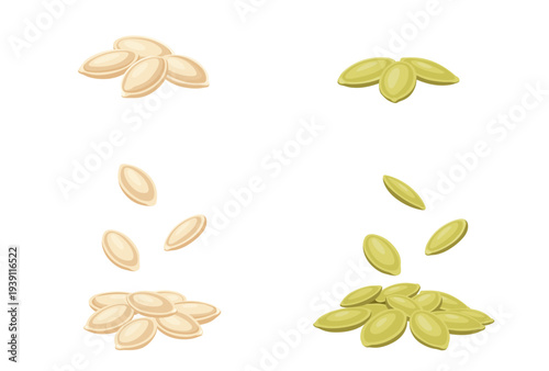 Sunflower seeds vector. Isolated on white background.	