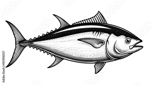 Vintage engraving tuna fish detailed marine seafood illustration hand drawn ocean wildlife animal in classic woodcut style