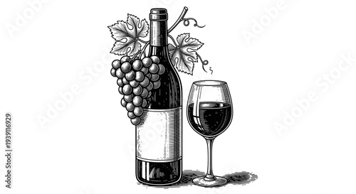 Vintage engraving wine bottle with wine glass and grape bunch detailed winery and viticulture illustration hand drawn classic woodcut style isolated