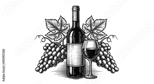 Vintage engraving wine bottle with wine glass and grape bunch detailed winery and viticulture illustration hand drawn classic woodcut style isolated
