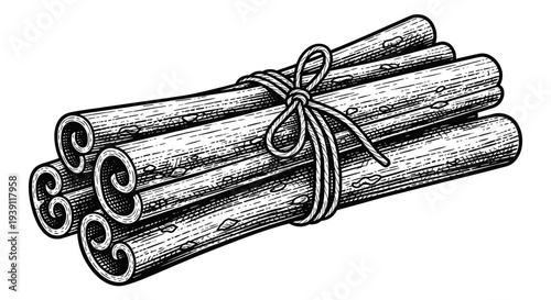 Vintage engraving cinnamon sticks aromatic spice ingredient hand drawn woodcut style culinary illustration