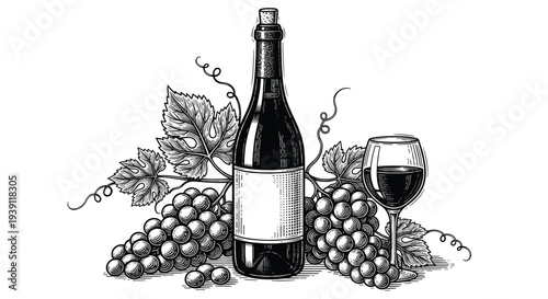 Vintage engraving wine bottle with wine glass and grape bunch detailed winery and viticulture illustration hand drawn classic woodcut style isolated