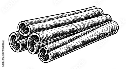 Vintage engraving cinnamon sticks aromatic spice ingredient hand drawn woodcut style culinary illustration