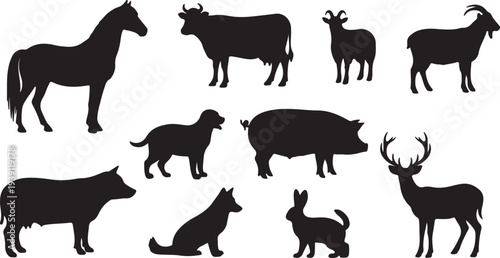 Diverse Set of Isolated Black Animal Silhouettes Vector Collection isolated PNG with Transparent Background