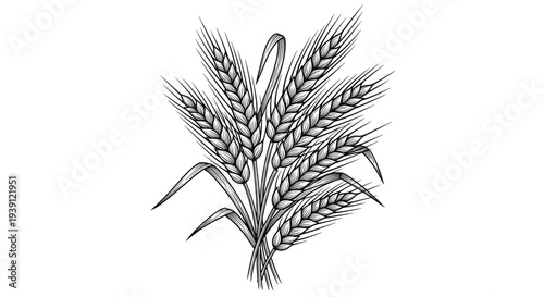 Vintage engraving style wheat bundle illustration