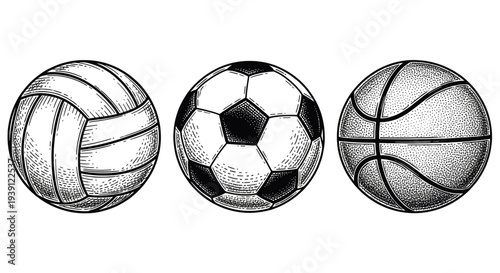 Vintage sports balls engraving set, retro athletic equipment and game ball sketches in woodcut style