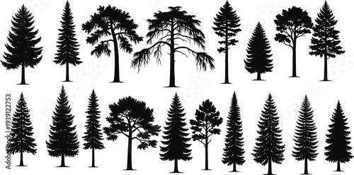Black Pine and Spruce Tree Silhouette Collection Featuring Various Coniferous Evergreen Forest Shapes Isolated on White Background for Nature Landscape Design and Vector Graphics