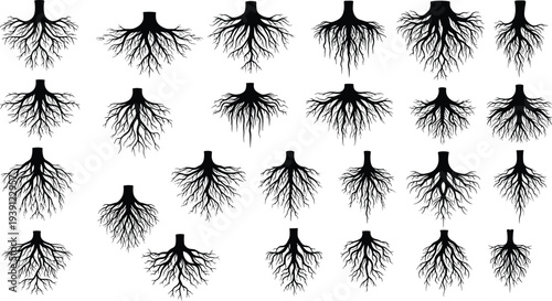 Collection of black tree root silhouettes with intricate underground branching systems and various organic plant stump shapes isolated on a clean white background