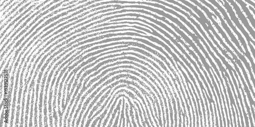 Close up of a grey fingerprint pattern with textured ridges and valleys