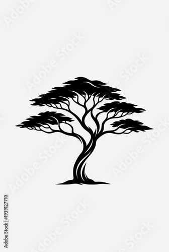 Serene landscape illustration of a twisted tree with sprawling branches in a natural setting from a frontal viewpoint