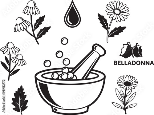 Natural Medicine and Pharmacy Icons Set with Mortar, Pestle, Belladonna, and Chamomile Vector Illustration
