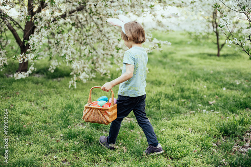 Easter egg hunt. child Wearing Bunny Ears Running To Pick Up Egg In Garden. Easter tradition. Baby with basket full of colorful eggs.