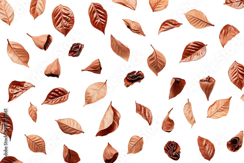 Autumnal leaves scattered, dark background, warm hues