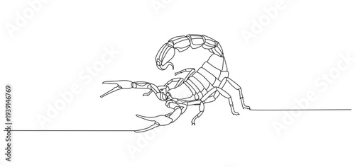 Scorpion line art vector design