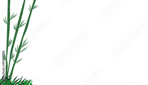 Green Bamboo Stems with Leaves Growing.