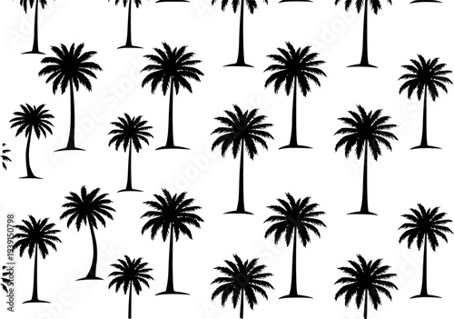 Seamless pattern of black palm trees silhouettes a white background for tropical