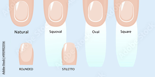 Different fingernail shapes illustrated with labels natural squoval and more