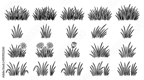 Botanical grass and flower elements collection, whimsical sketch, tall blades, tufts, daisies, roses, and sprigs