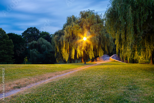 Fotografija A quiet evening path winds beneath the willows of Upper Onondaga Park, inviting