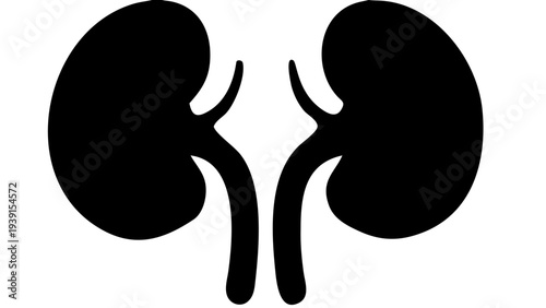 Human Kidneys Black Silhouette PNG, Internal Organ Icon
