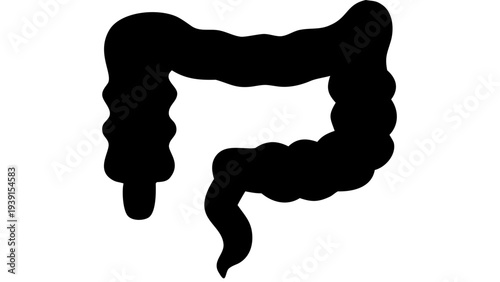 Human Intestines Black Silhouette PNG, Digestive System Icon