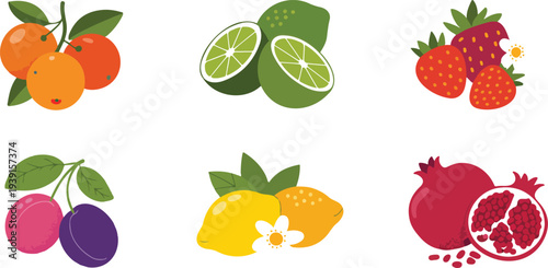 Minimal fruit collection vector illustration featuring citrus lime strawberry plum lemon and pomegranate arranged in clean grid composition