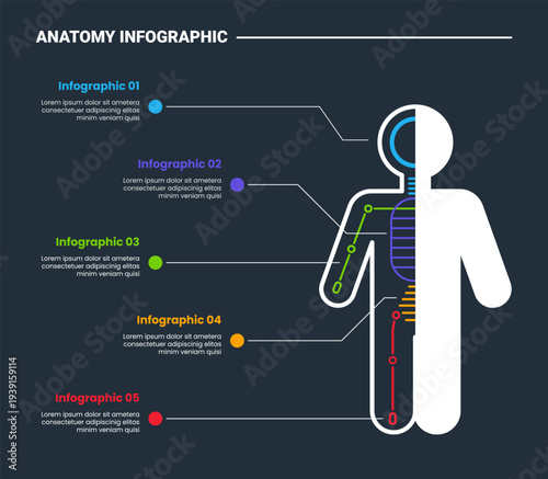 Human body anatomy infographic process diagram with full body with skeleton and long line pointer part with dark background bright outline style 5 points