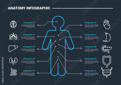 Human body anatomy infographic process diagram with standing outline human body with organs parts with arrow pointer with dark background bright outline style 10 points