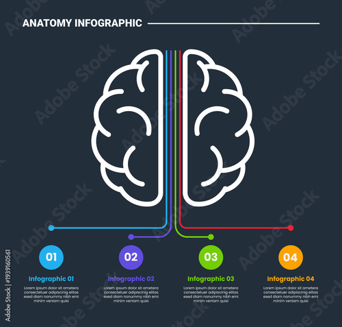 Human body anatomy infographic process diagram with big human brain from top view with long line pointer and circle badge with dark background bright outline style 4 points