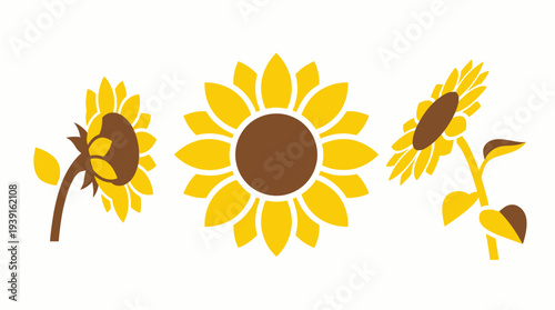 Three cartoon sunflowers in different stages of bloom.